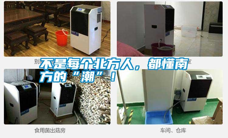 不是每個北方人，都懂南方的“潮”！