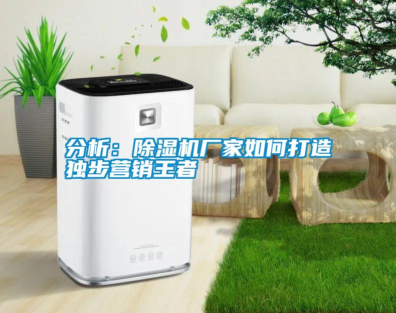 分析：除濕機(jī)廠家如何打造獨(dú)步營(yíng)銷王者