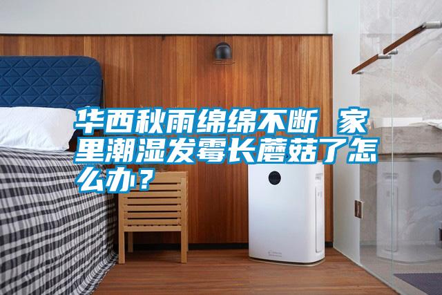華西秋雨綿綿不斷 家里潮濕發(fā)霉長蘑菇了怎么辦？