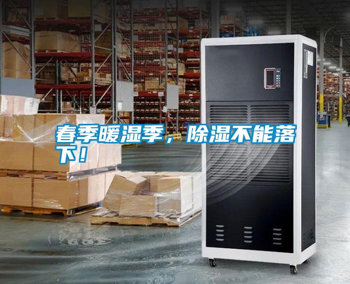 春季暖濕季，除濕不能落下！