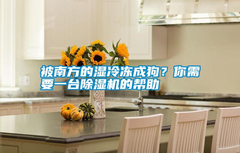 被南方的濕冷凍成狗？你需要一臺除濕機(jī)的幫助