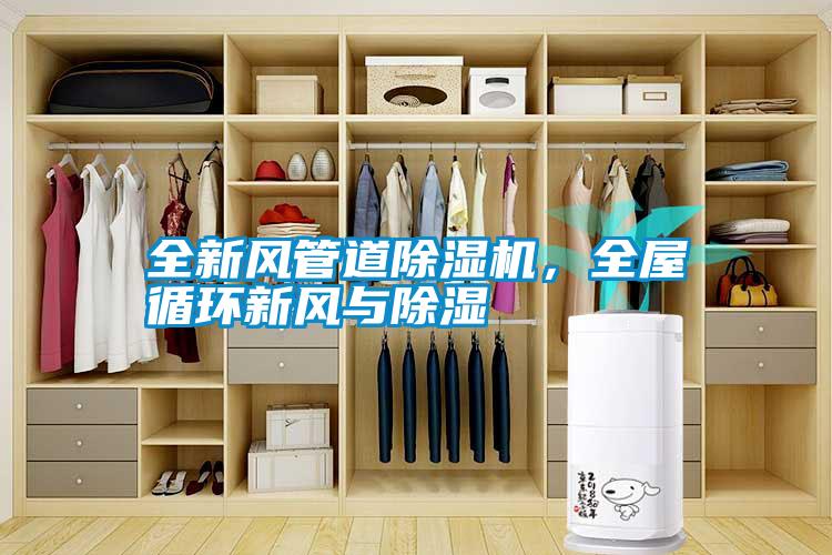 全新風(fēng)管道除濕機(jī)，全屋循環(huán)新風(fēng)與除濕