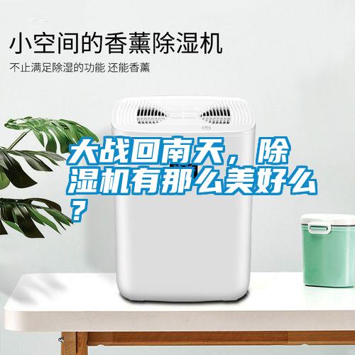 大戰(zhàn)回南天，除濕機(jī)有那么美好么？