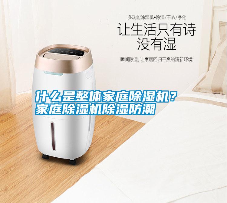 什么是整體家庭除濕機？ 家庭除濕機除濕防潮
