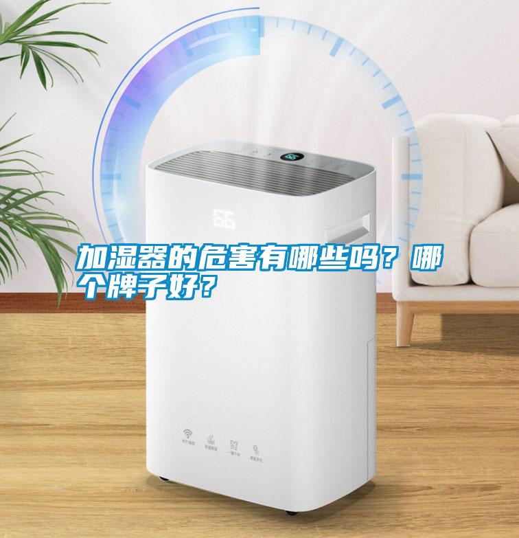 加濕器的危害有哪些嗎？哪個牌子好？
