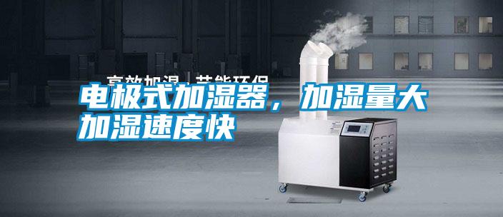 電極式加濕器，加濕量大加濕速度快