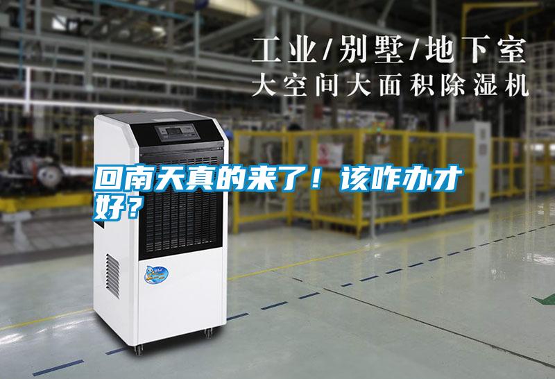 回南天真的來了！該咋辦才好？