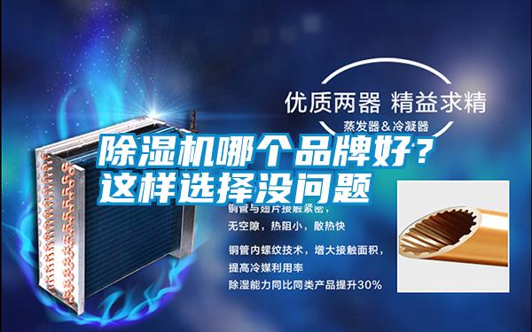除濕機(jī)哪個(gè)品牌好？這樣選擇沒(méi)問(wèn)題