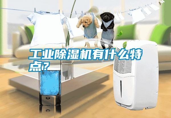 工業(yè)除濕機有什么特點？