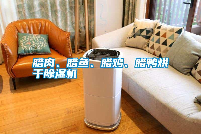 臘肉、臘魚、臘雞、臘鴨烘干除濕機(jī)