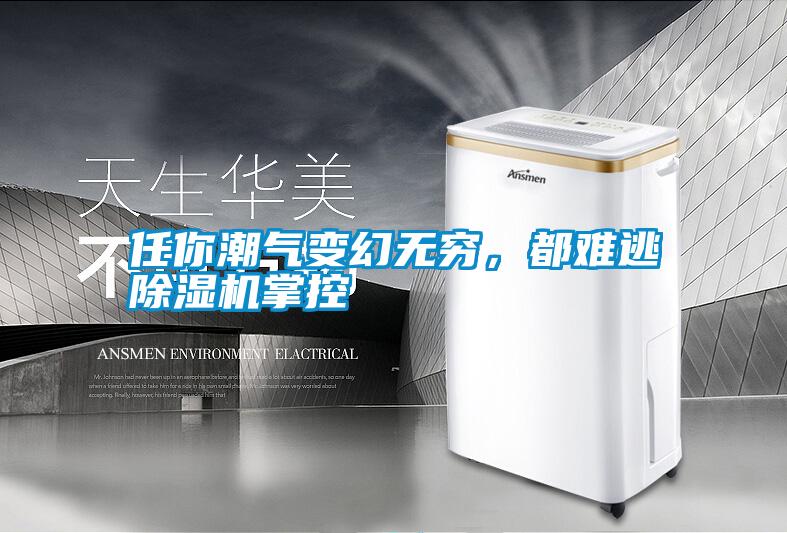 任你潮氣變幻無(wú)窮，都難逃除濕機(jī)掌控