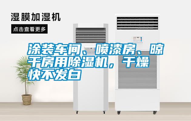 涂裝車間、噴漆房、晾干房用除濕機，干燥快不發(fā)白