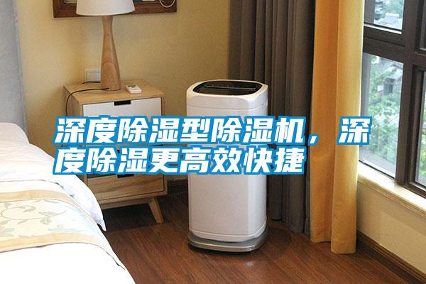深度除濕型除濕機(jī)，深度除濕更高效快捷