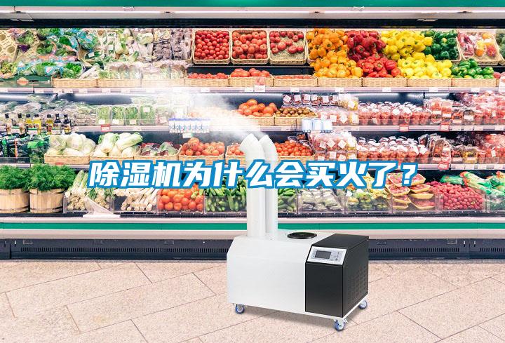 除濕機(jī)為什么會買火了？
