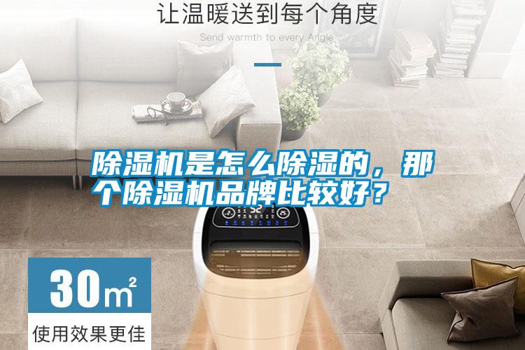 除濕機是怎么除濕的，那個除濕機品牌比較好？