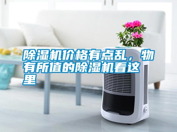 除濕機(jī)價(jià)格有點(diǎn)亂，物有所值的除濕機(jī)看這里