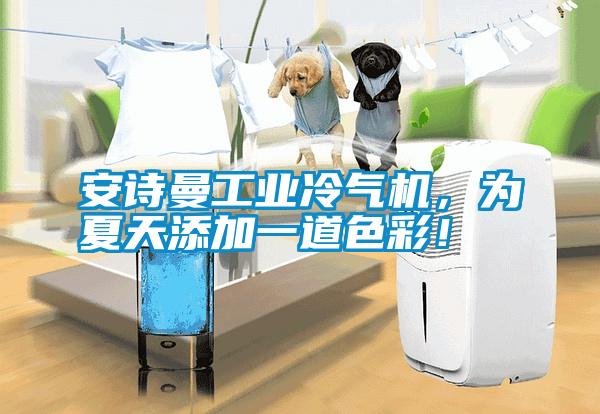 安詩曼工業(yè)冷氣機(jī)，為夏天添加一道色彩！