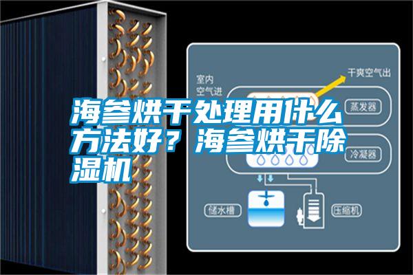 海參烘干處理用什么方法好？海參烘干除濕機(jī)