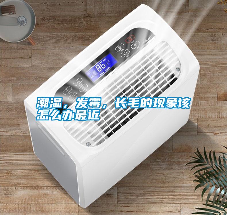 潮濕，發(fā)霉，長(zhǎng)毛的現(xiàn)象該怎么辦最近