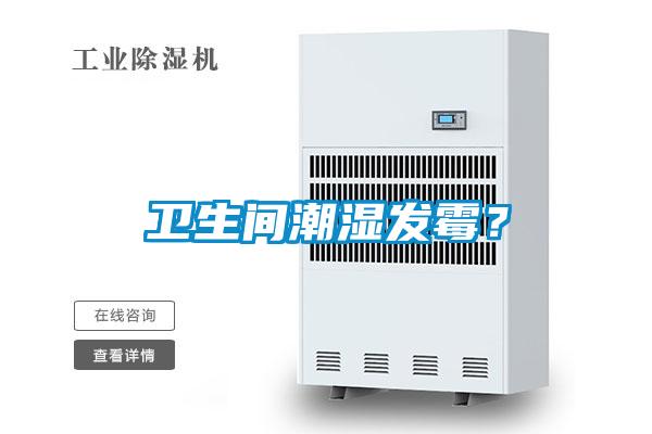 衛(wèi)生間潮濕發(fā)霉？