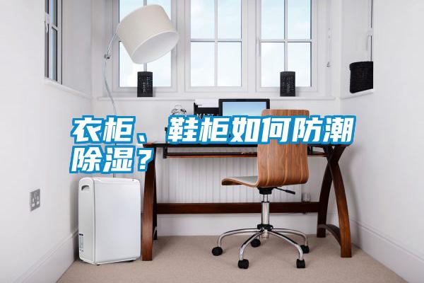 衣柜、鞋柜如何防潮除濕？