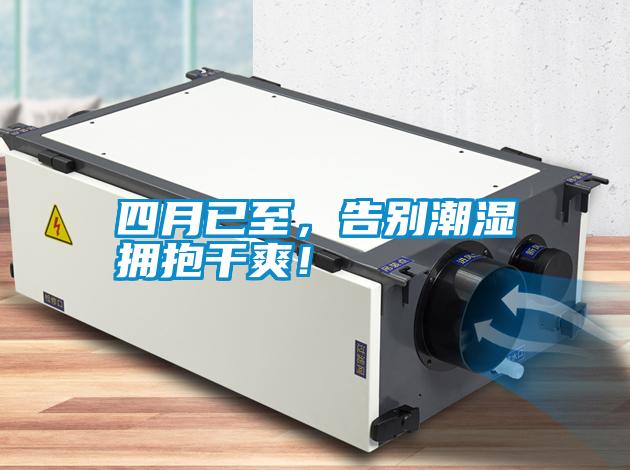 四月已至，告別潮濕擁抱干爽！