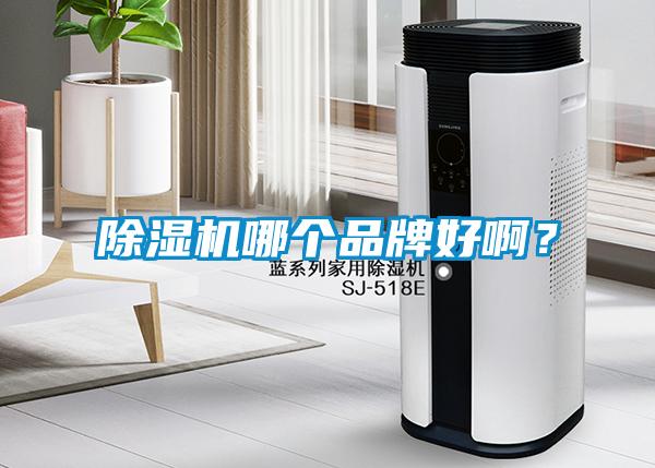 除濕機哪個品牌好?。?></div>
								<div   id=