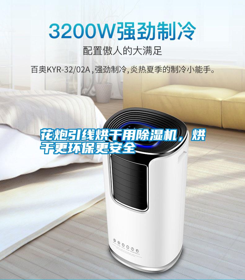 花炮引線烘干用除濕機(jī)，烘干更環(huán)保更安全