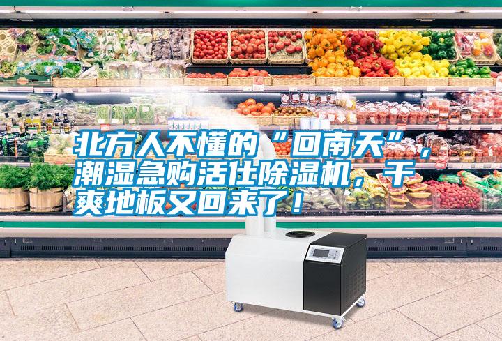 北方人不懂的“回南天”，潮濕急購活仕除濕機(jī)，干爽地板又回來了！