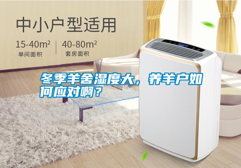 冬季羊舍濕度大，養(yǎng)羊戶如何應(yīng)對(duì)啊？