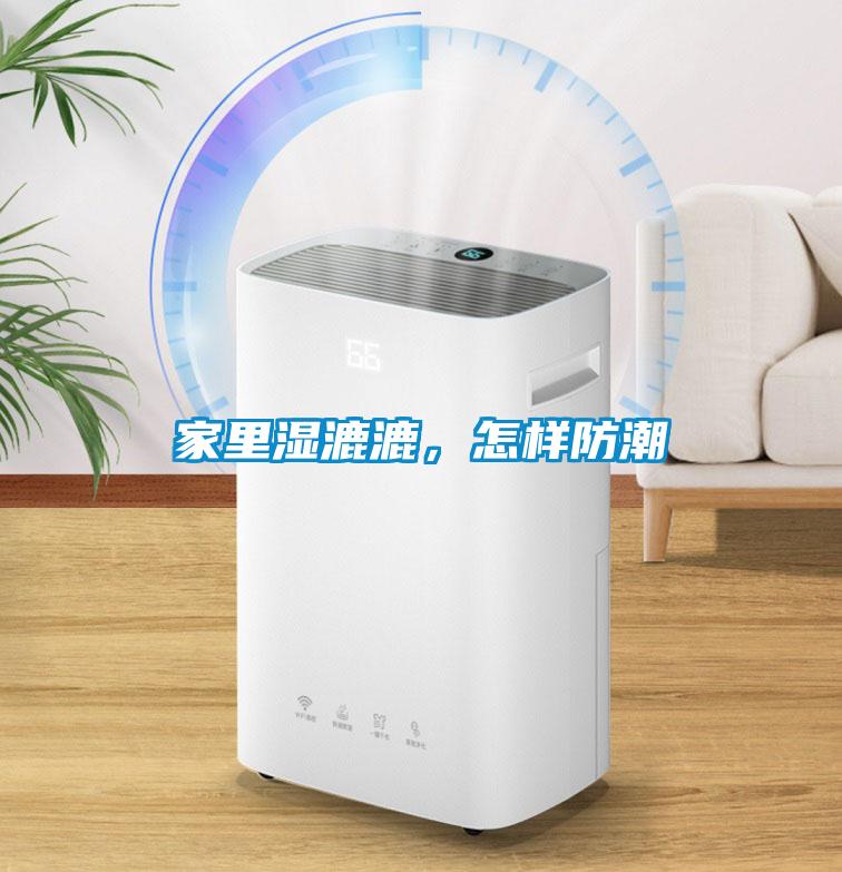 家里濕漉漉，怎樣防潮