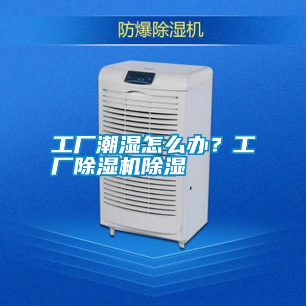 工廠潮濕怎么辦？工廠除濕機除濕