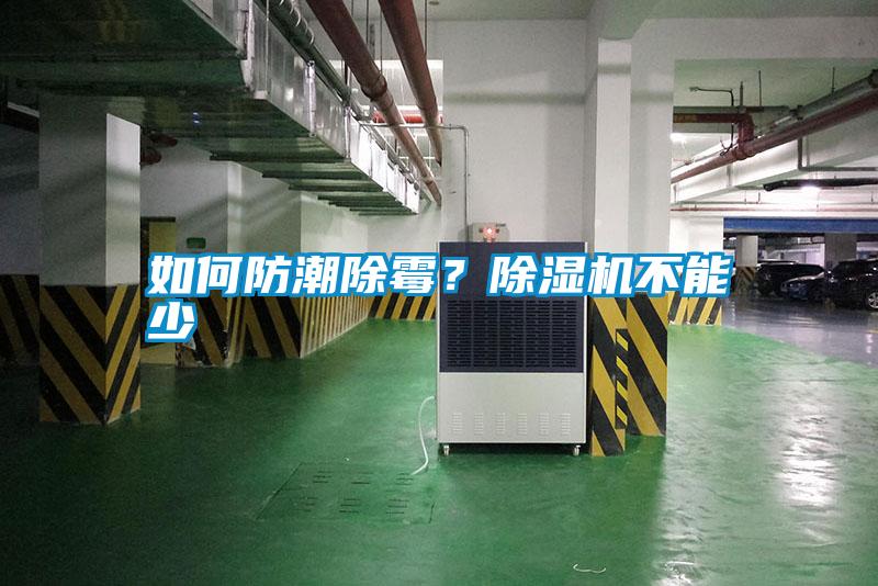 如何防潮除霉？除濕機(jī)不能少