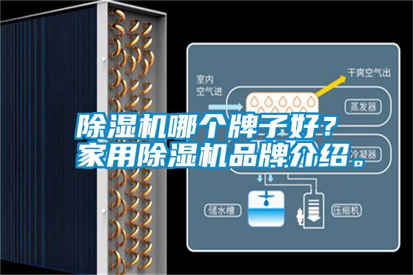 除濕機(jī)哪個(gè)牌子好？家用除濕機(jī)品牌介紹。