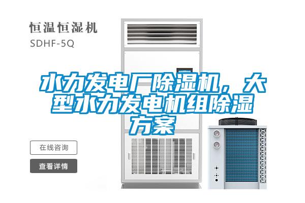 水力發(fā)電廠除濕機(jī)，大型水力發(fā)電機(jī)組除濕方案