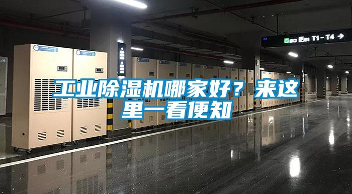 工業(yè)除濕機哪家好？來這里一看便知