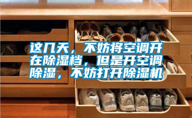 這幾天，不妨將空調(diào)開在除濕檔，但是開空調(diào)除濕，不妨打開除濕機