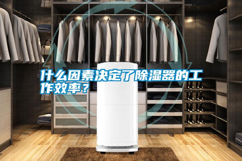 什么因素決定了除濕器的工作效率？