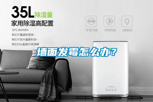 墻面發(fā)霉怎么辦？