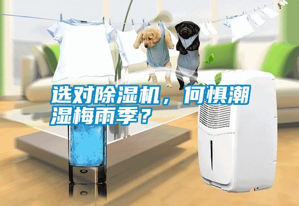 選對(duì)除濕機(jī)，何懼潮濕梅雨季？