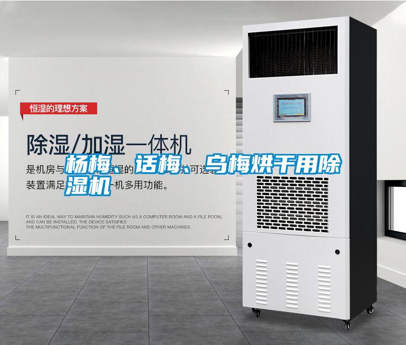 楊梅、話梅、烏梅烘干用除濕機