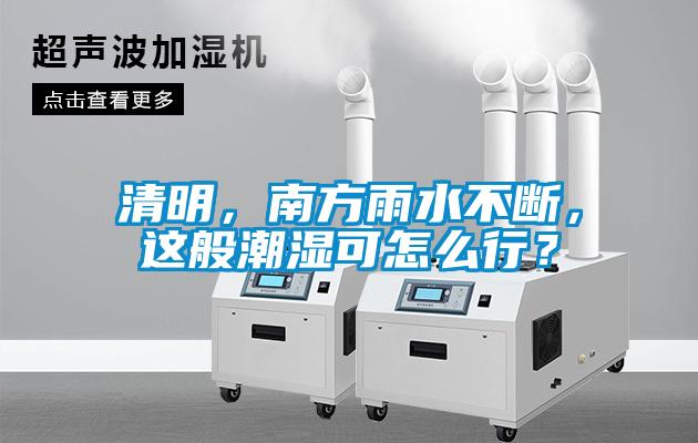 清明，南方雨水不斷，這般潮濕可怎么行？