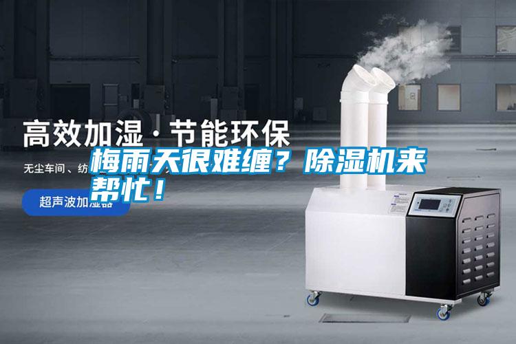 梅雨天很難纏？除濕機來幫忙！
