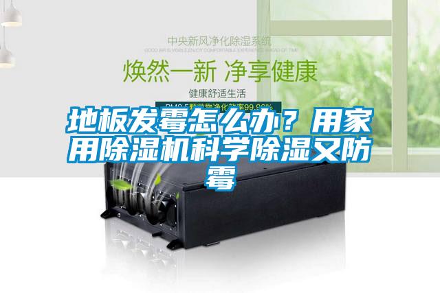 地板發(fā)霉怎么辦？用家用除濕機(jī)科學(xué)除濕又防霉