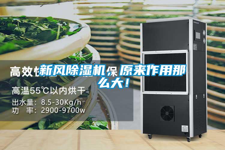 新風(fēng)除濕機(jī)，原來(lái)作用那么大！