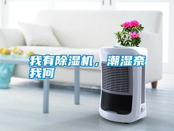 我有除濕機(jī)，潮濕奈我何