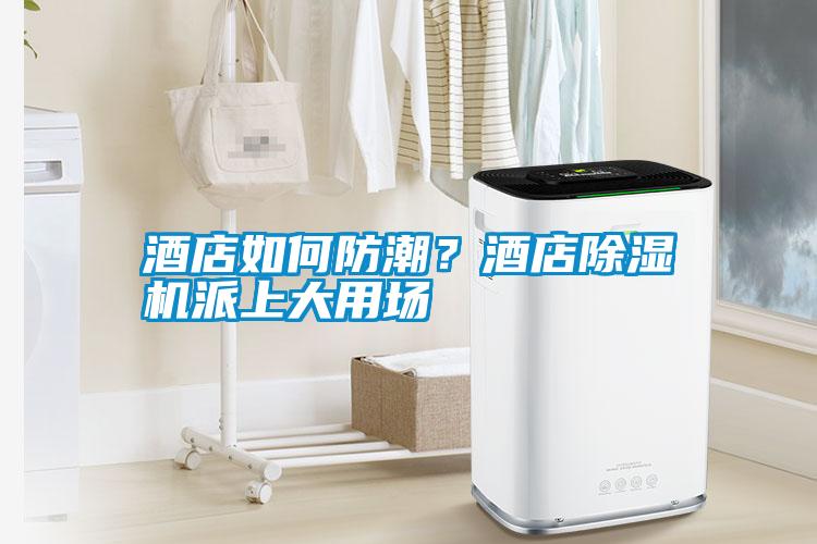 酒店如何防潮？酒店除濕機派上大用場