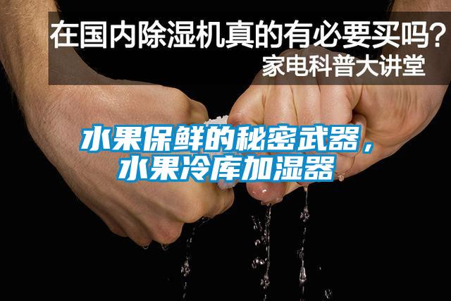 水果保鮮的秘密武器，水果冷庫加濕器