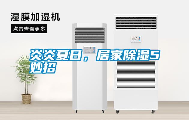 炎炎夏日，居家除濕5妙招