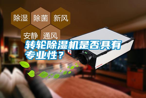 轉(zhuǎn)輪除濕機是否具有專業(yè)性？